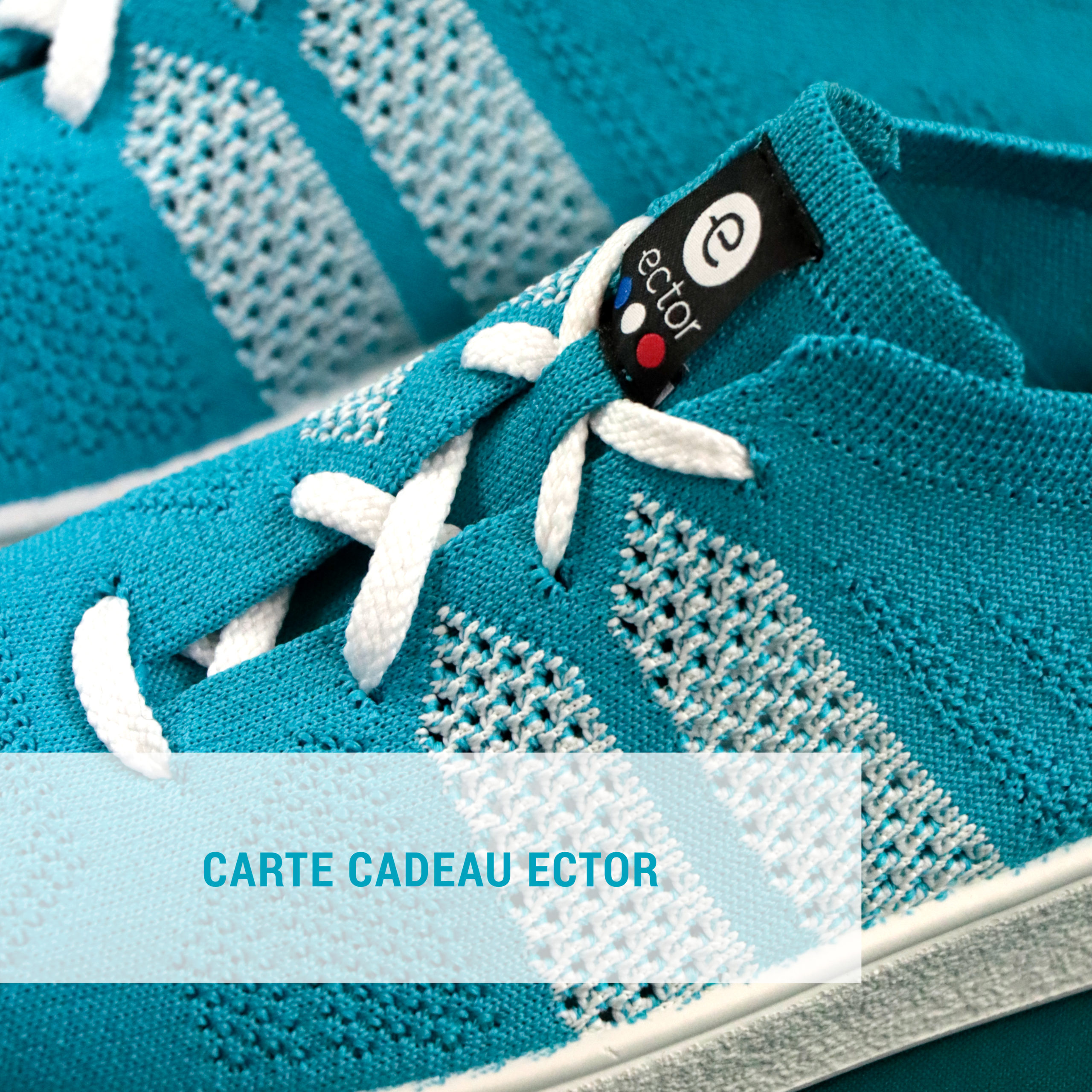 carte cadeau Ector Sneaker