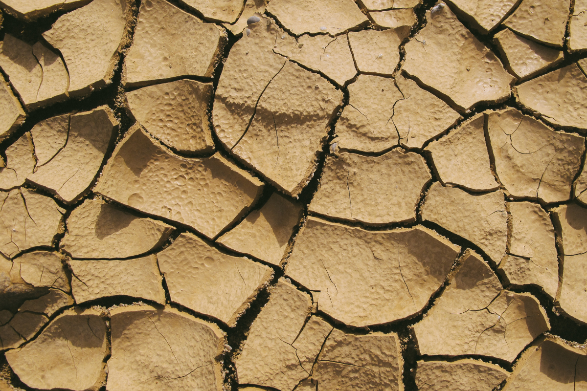 Changement climatique sécheresse journée mondiale du climat