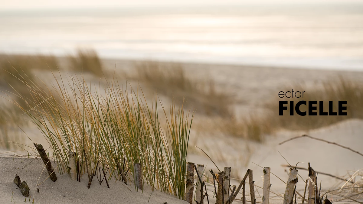 Dune de sable