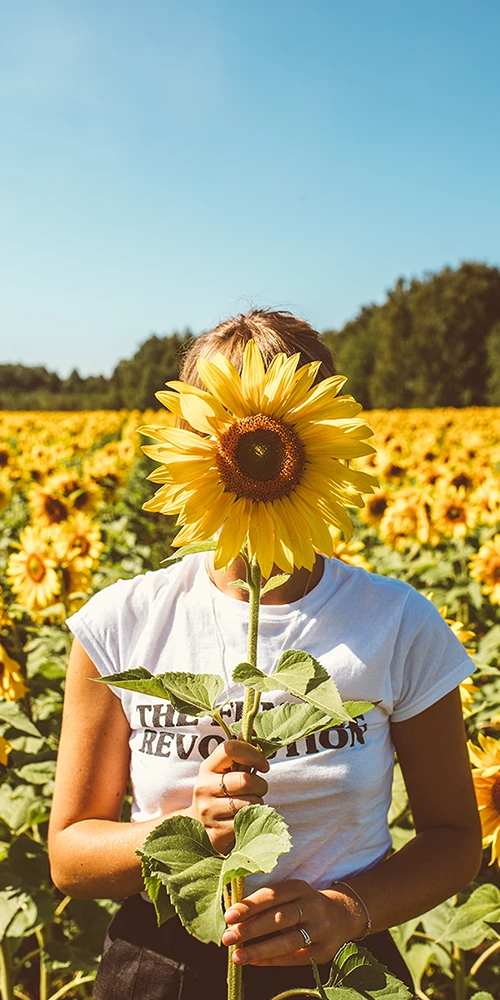 Fille dans un champ de tournesol