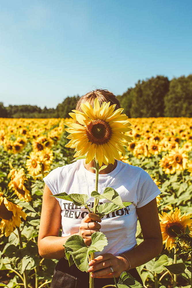 Fille dans un champ de tournesol